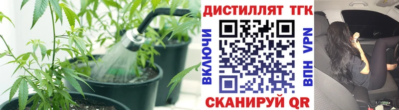 ТГК гашишное масло  Купить  Тула 
