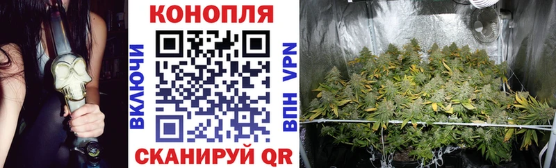 Шишки марихуана SATIVA & INDICA  Купить закладки  Тула 